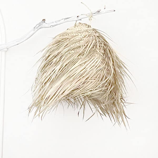 Quinty Palmblad-hanglamp-S-DeLight Collectie - Afbeelding 2